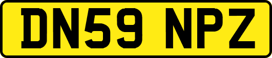 DN59NPZ