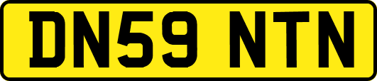 DN59NTN