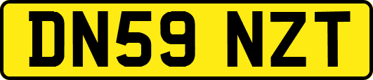 DN59NZT