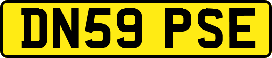 DN59PSE