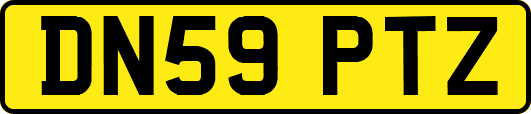 DN59PTZ
