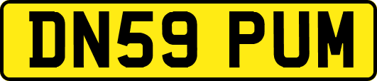 DN59PUM