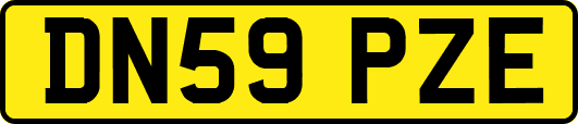 DN59PZE
