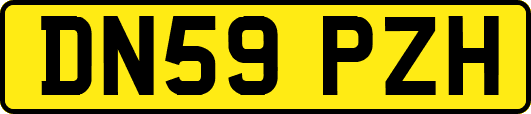 DN59PZH