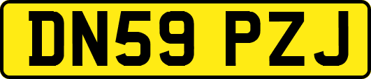 DN59PZJ