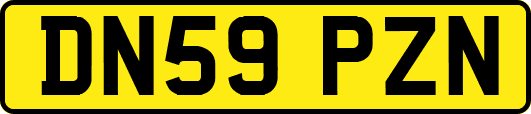 DN59PZN