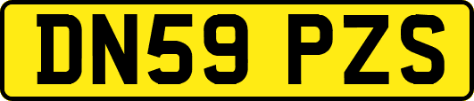 DN59PZS