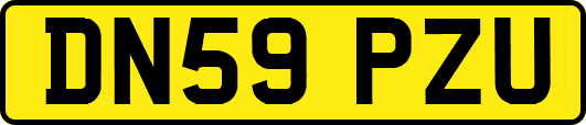 DN59PZU