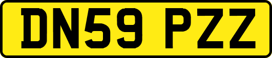DN59PZZ