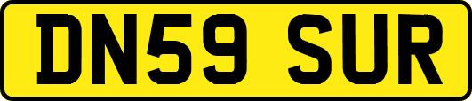DN59SUR