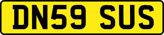 DN59SUS