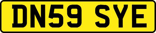 DN59SYE