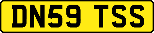 DN59TSS