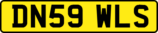 DN59WLS