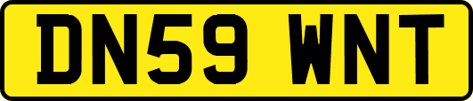DN59WNT