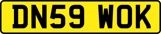 DN59WOK