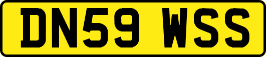 DN59WSS