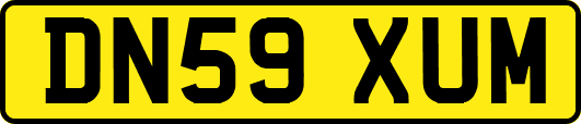 DN59XUM