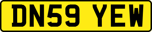 DN59YEW