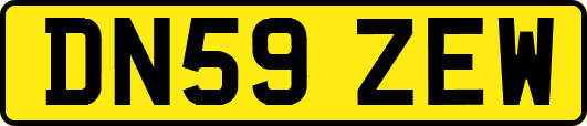 DN59ZEW