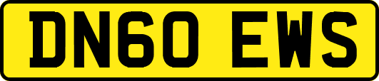 DN60EWS
