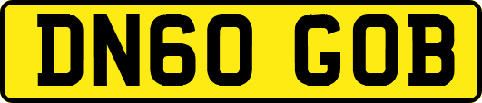 DN60GOB