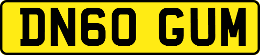 DN60GUM
