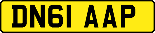 DN61AAP