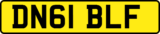 DN61BLF