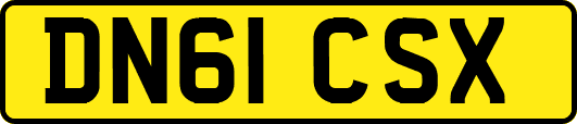 DN61CSX