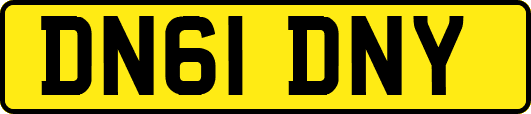 DN61DNY