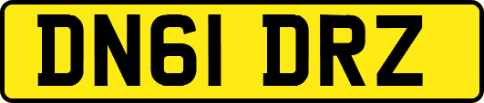 DN61DRZ