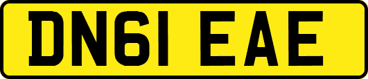 DN61EAE