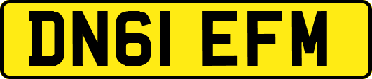 DN61EFM