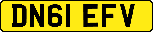 DN61EFV