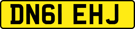 DN61EHJ