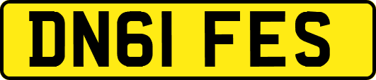 DN61FES
