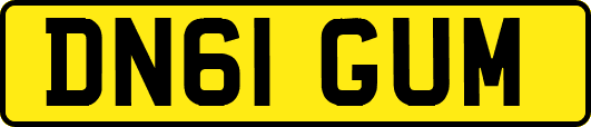 DN61GUM