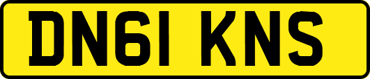 DN61KNS