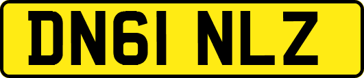 DN61NLZ