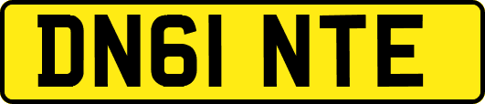 DN61NTE