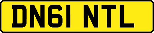 DN61NTL