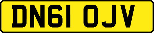 DN61OJV