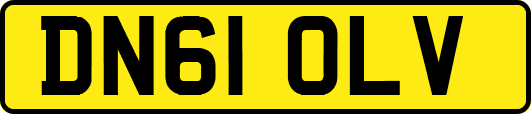 DN61OLV