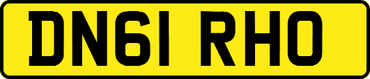DN61RHO
