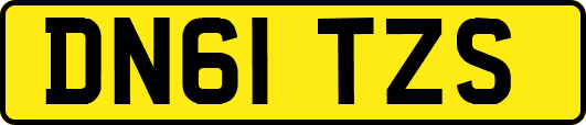 DN61TZS