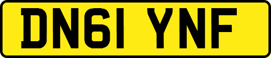 DN61YNF