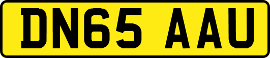 DN65AAU