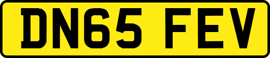 DN65FEV