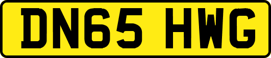 DN65HWG